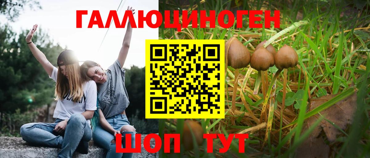 Галлюциногенные грибы Cubensis  Вход с VPN  Псилоцибиновые грибы мухоморы  Алексин 