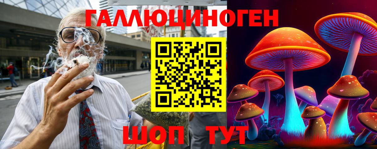 Псилоцибиновые грибы Psilocybine cubensis Алексин